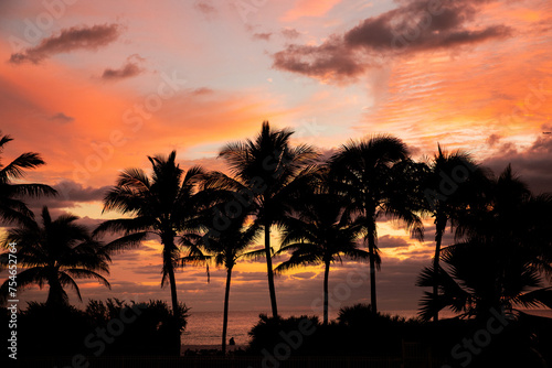 Coconut palms on sand beach in tropic on sunset. Miami, Florida