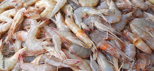 Many fresh raw shrimp at the traditional market in Indonesia. Uncooked prawn seafood background