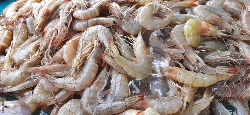 Many fresh raw shrimp at the traditional market in Indonesia. Uncooked prawn seafood background