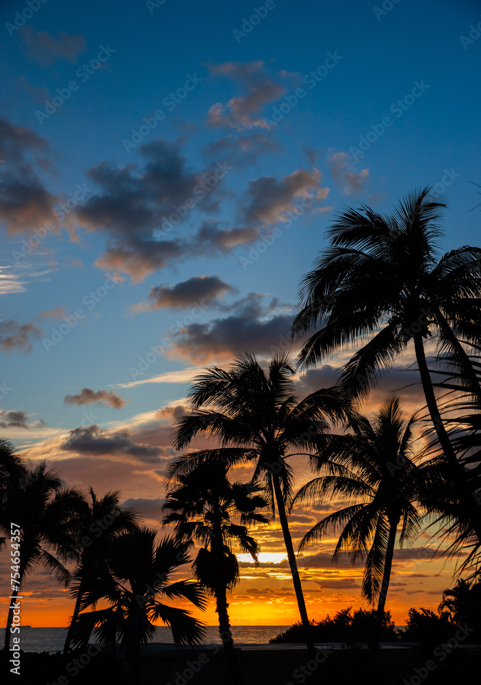 Obraz premium Sunset palm trees on the beach. Silhouette palm trees on the colorful sky.