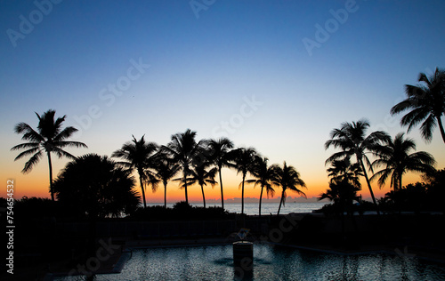 Tropical picture of palm trees at sunrise. © Yuliia