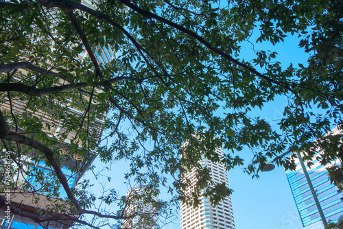 青空と、関東の川崎市武蔵小杉のタワーマンション群とオフィスビルの街並み