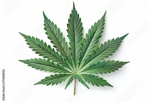 Marijuana leaves  cannabis on a dark background  beautiful background  indoor cultivation