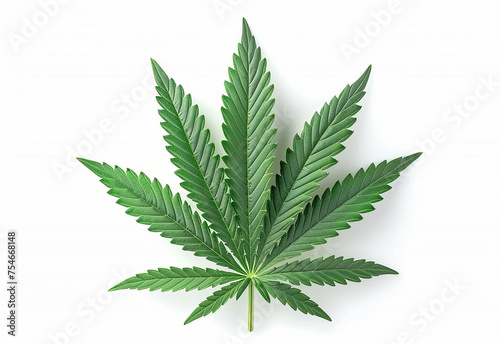Marijuana leaves, cannabis on a dark background, beautiful background, indoor cultivation © oneli