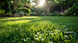 Lawn Care, Show environmentally friendly lawn care practices such as using native plants, organic fertilizers, and rainwater harvesting systems