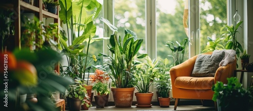 In a stylish living room, numerous beautiful potted house plants fill the space, creating a lush and vibrant atmosphere. The greenery adds life and freshness to the room, enhancing its aesthetic