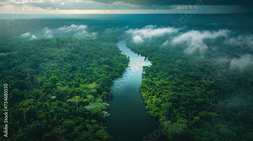 Aerial View of the Amazon Rainforest, Generated by AI © Naseem