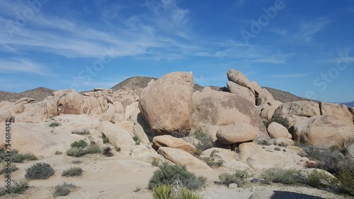 Joshua Tree National Park, California 