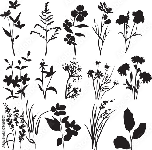 Black Silhouettes flowers signs, flower icons on white background 