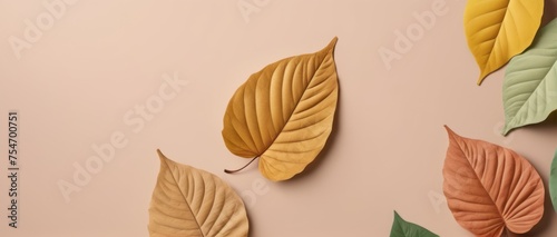 leaves background aesthetic minimalism style