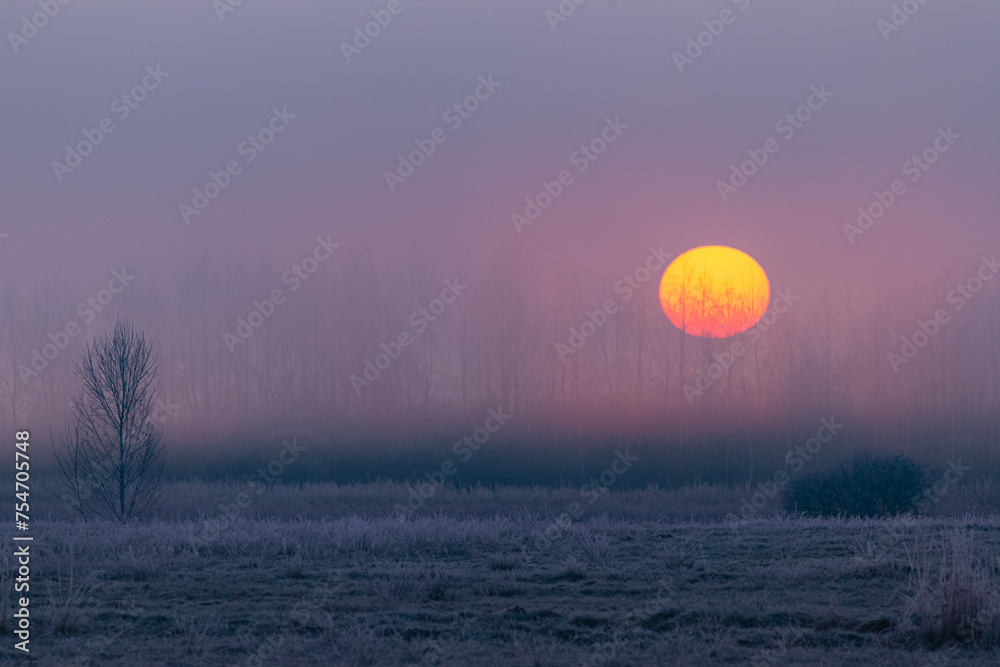 Obraz premium Wiosenny chłodny poranek z mgłą o wschodzie słońca