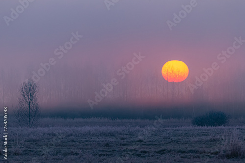 Wiosenny chłodny poranek z mgłą o wschodzie słońca photo