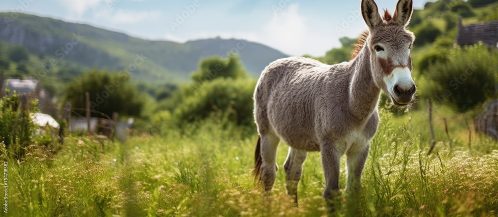 A solitary donkey stands in a lush green grassy field, with majestic mountains in the background. The donkey appears calm and content, gazing out into the distance.