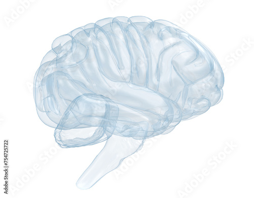 Glass human brain or X-ray human brain. 