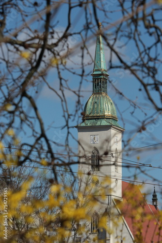 Canvas Print St. Martins Cathedral behind the blooming branches in spring