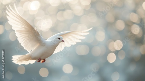 Eine fliegende weiße Taube, Bokeh Hintergrund  photo