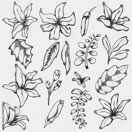 set line floral, vintage flower drawing suitable for vector design elements, wallpaper, wall art, patterns and backgrounds
