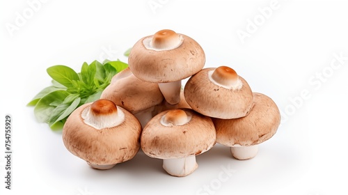 Mushrooms against a white backdrop.