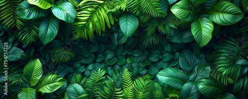 bright nature background tropical leaf, abstract green texture leaves