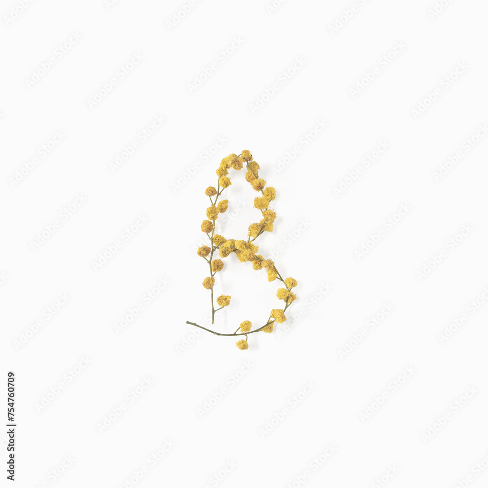 Letter B made from flowers mimosa yellow. Flower alphabet layout. Flat lay
