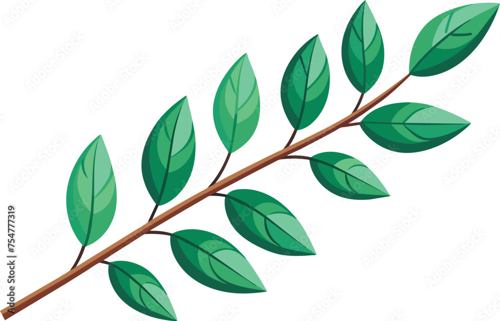 -branch-of-leaves-white vector background .eps