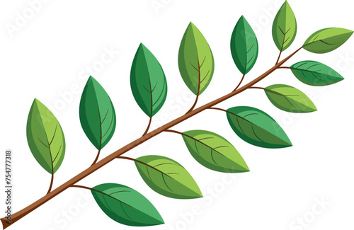 branch-of-leaves-white-background .eps