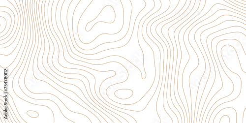 Topographic map background geographic line map pattern .panorama view light brown color wave curve lines .geographic mountain relief abstract grid .the concept map of a conditional geography map . photo