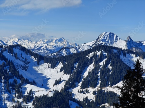 winter mountain landscape © Piotr