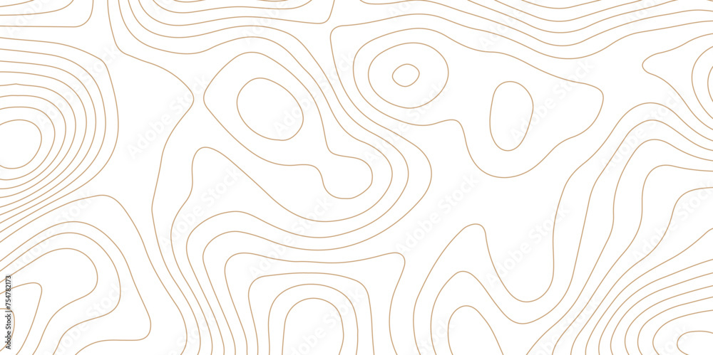 Topographic map background geographic line map pattern .panorama view light brown color wave curve lines .geographic mountain relief abstract grid .the concept map of a conditional geography map . - obrazy, fototapety, plakaty 
