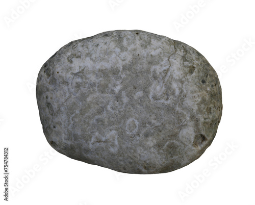 White dead coral rocks or brain coral stone with transparent image.