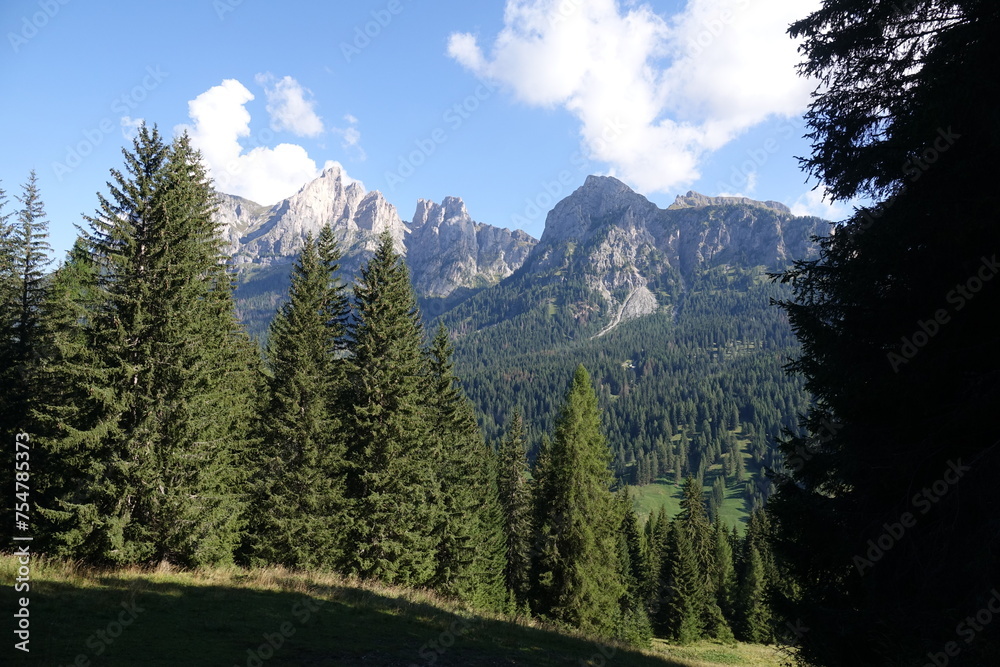 Fototapeta premium Monte Cernera bei Pescul
