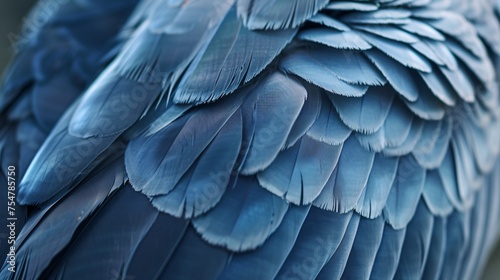 Close-up image of a sapphire winged dove, with a detailed pattern, ideal as a backdrop.