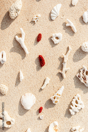 Different Seashells and corals on sandy beach as minimal trend pattern. Stylish layout from found shells and coral on ocean shore. Summer relahation concept, beach vibes. Top view outdoors photo