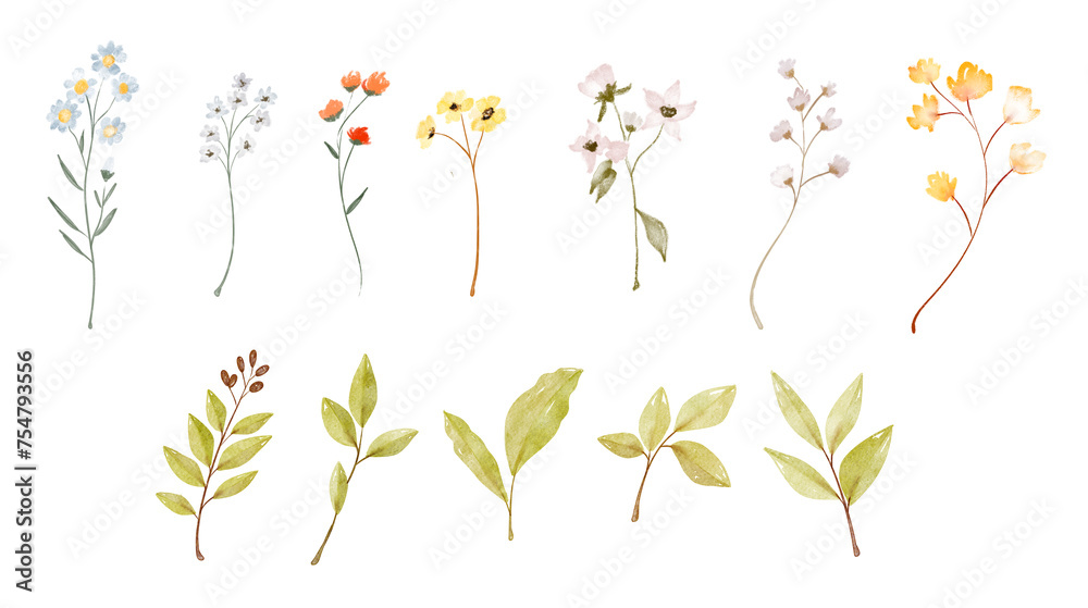 Watercolor wildflowers and green branches  isolated on white background