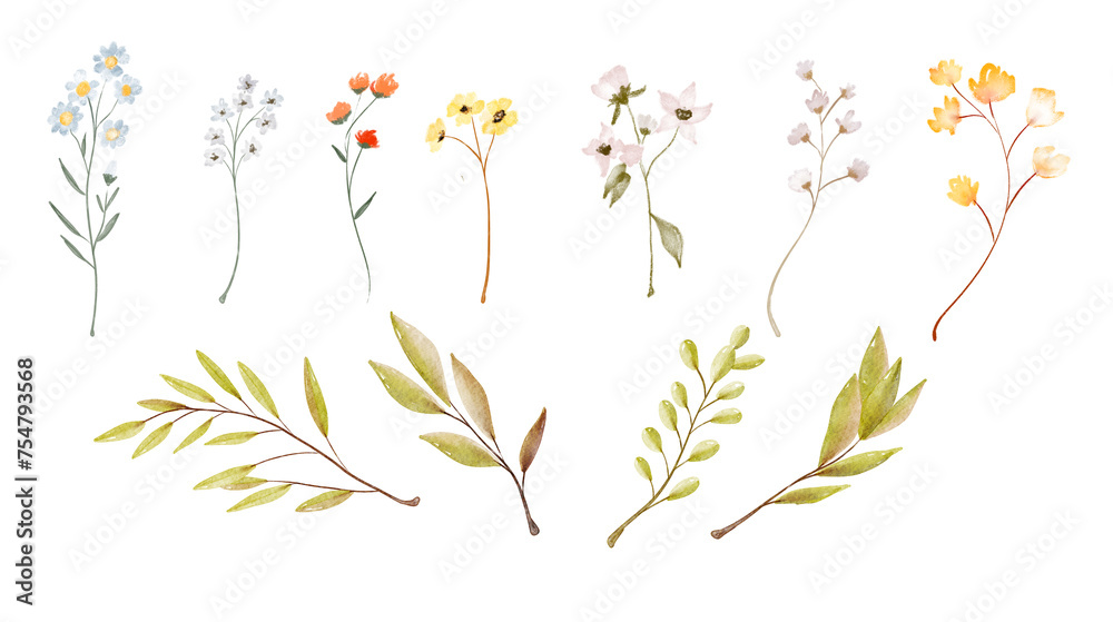 Watercolor wildflowers and green branches  isolated on white background