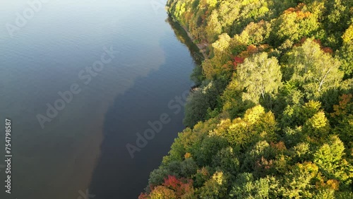 Wallpaper Mural Drone view of an autumn forest on the shore of a lake in America. Torontodigital.ca