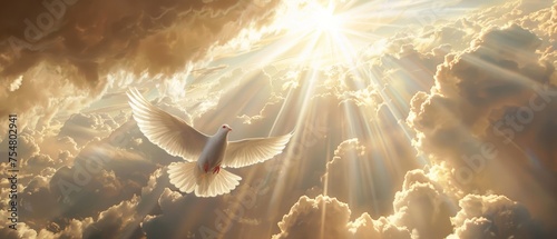  a white dove flying through a cloudy sky with the sun shining through it's clouds and the sun's rays coming through the clouds. photo