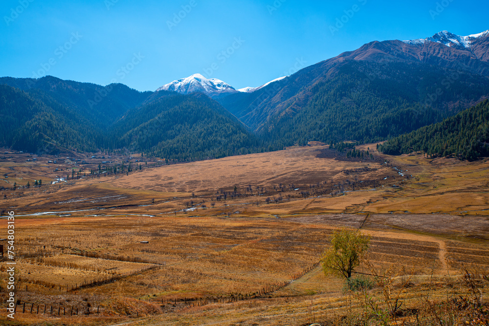 Autumnal Fields and Snowy Mountain Backdrop in Guthichaur, Jumla, Nepal
