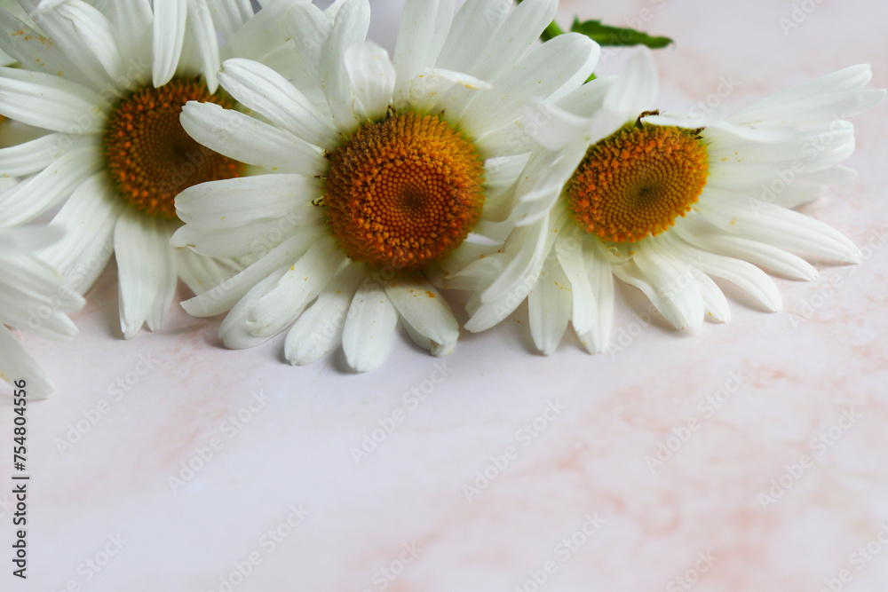 Fototapeta premium postcard mockup with a bouquet of white daisies