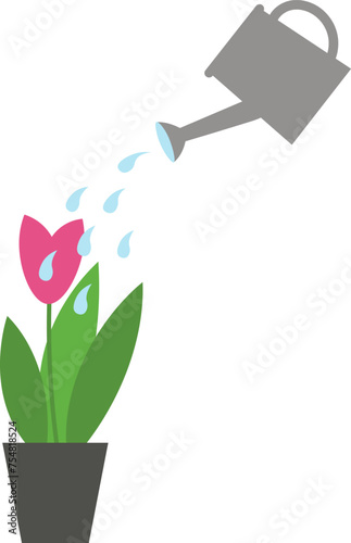 Plant and watering can with water hand drawn isolated flat vector illustration .Gardening tools, seedlings and flowers are watered from watering can, design element for print, logo, card, paper, sign