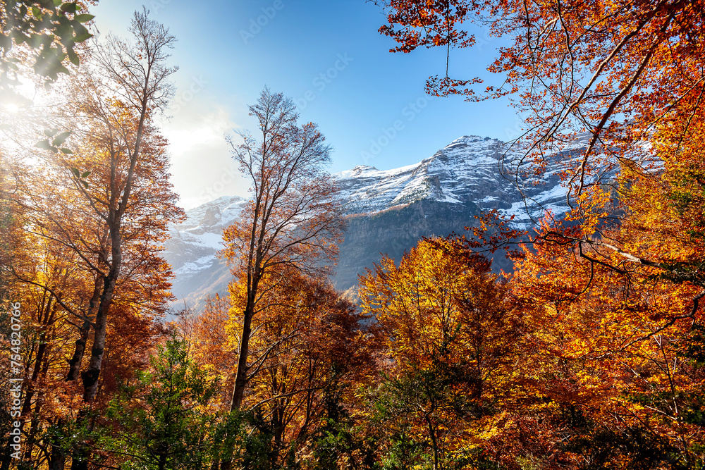 Otoño en la Pineta. Pirineos.