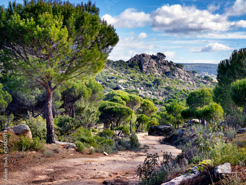 Camino del arroyo de la Moraleja