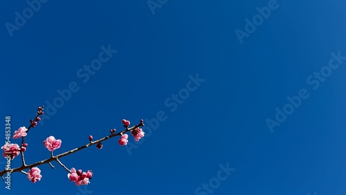 青空