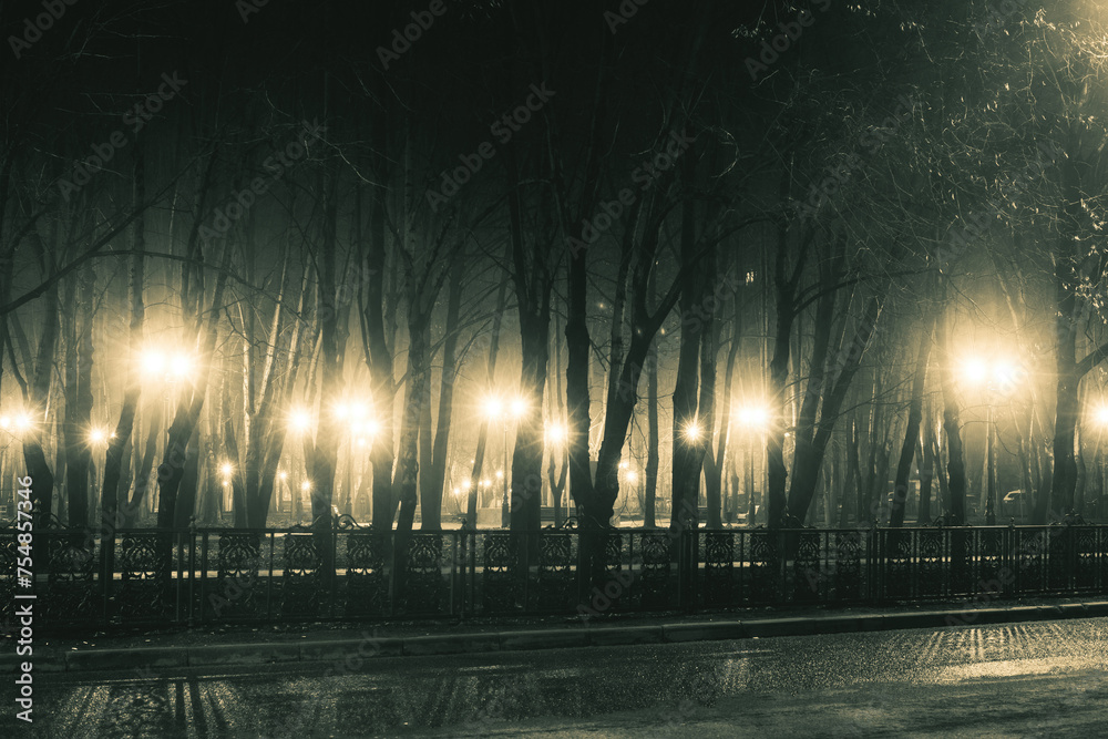 boulevard at foggy rainy night - obrazy, fototapety, plakaty 