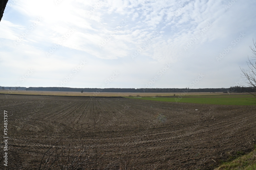 fields in Poland