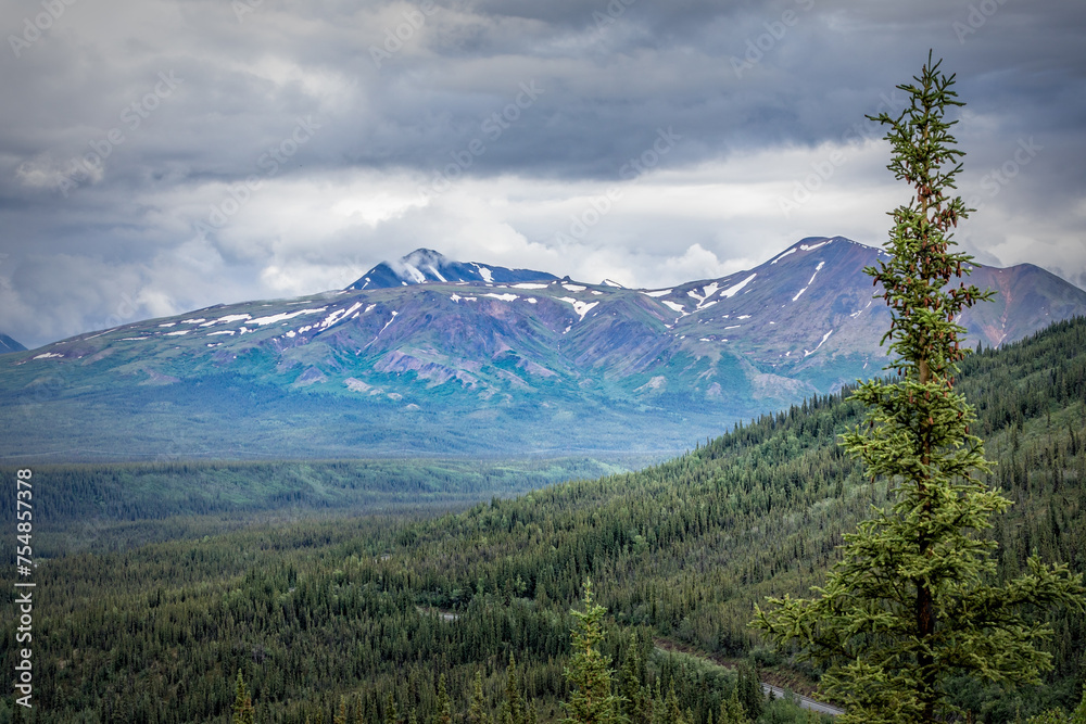 Impressive colorful mountain in the Denali National Park, Alaska USA