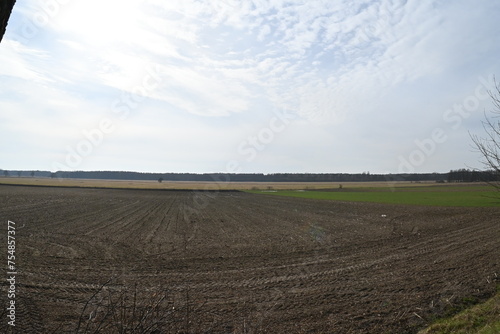 fields in Poland (ID: 754857377)