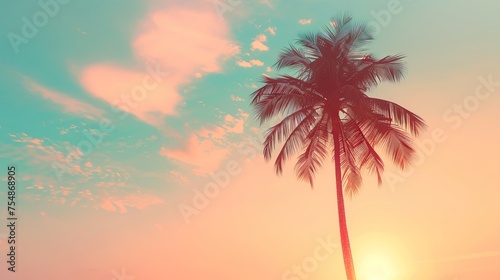 An abstract background of clouds and a sunset sky with a silhouetted tropical palm tree in the light of the sun is copied. Idea for an adventurous summer holiday in the outdoors. © Suleyman
