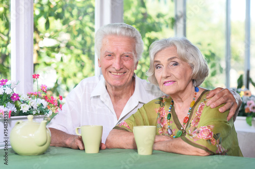 Elderly couple sitting at the table in the summer at the country house