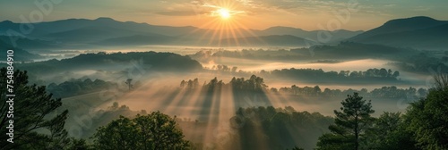 Radiant Dawn Over Fog-Enshrouded Landscape